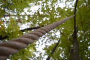 a087.jpg