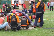 a020.jpg