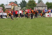 a043.jpg