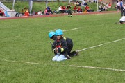 a116.jpg