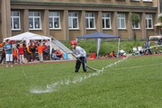 a206.jpg