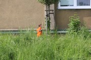 a376.jpg