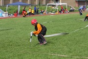 a429.jpg