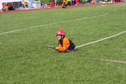 a435.jpg