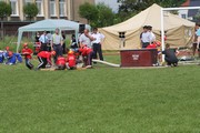 a482.jpg