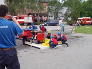 a113.jpg