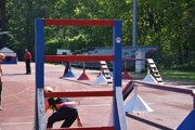 a042.jpg