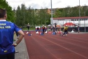 a229.jpg