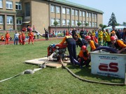 q090.jpg