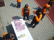 q300.jpg