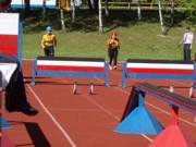 a037.jpg