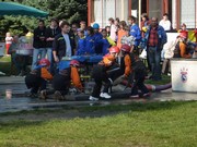 a025.jpg