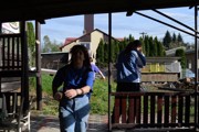a019.jpg