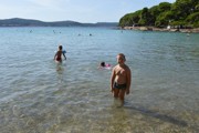 a010.jpg