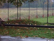 s019.jpg