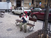 P015.jpg