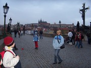 P093.jpg