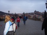 P094.jpg