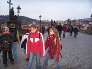 P095.jpg