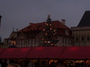 P107.jpg
