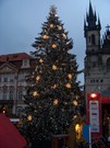 P109.jpg