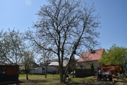 a001.jpg