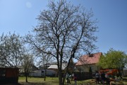 a009.jpg