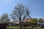 a019.jpg