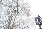 a035.jpg