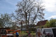 a056.jpg