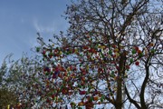 a060.jpg