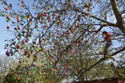 a064.jpg