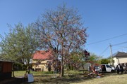 a067.jpg