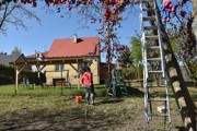 a070.jpg