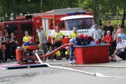 a155.jpg