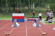 a161.jpg