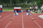a163.jpg
