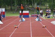 a166.jpg