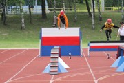 a191.jpg