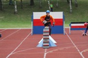 a201.jpg