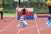 a210.jpg