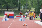 a243.jpg
