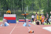 a244.jpg