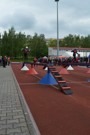 a013.jpg