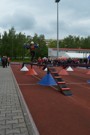 a016.jpg