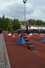 a019.jpg