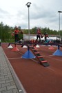 a136.jpg