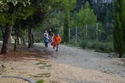 a035.jpg