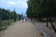 a058.jpg