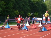 a015.jpg
